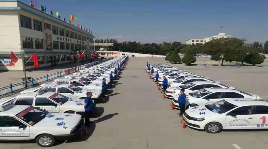 駕校車型